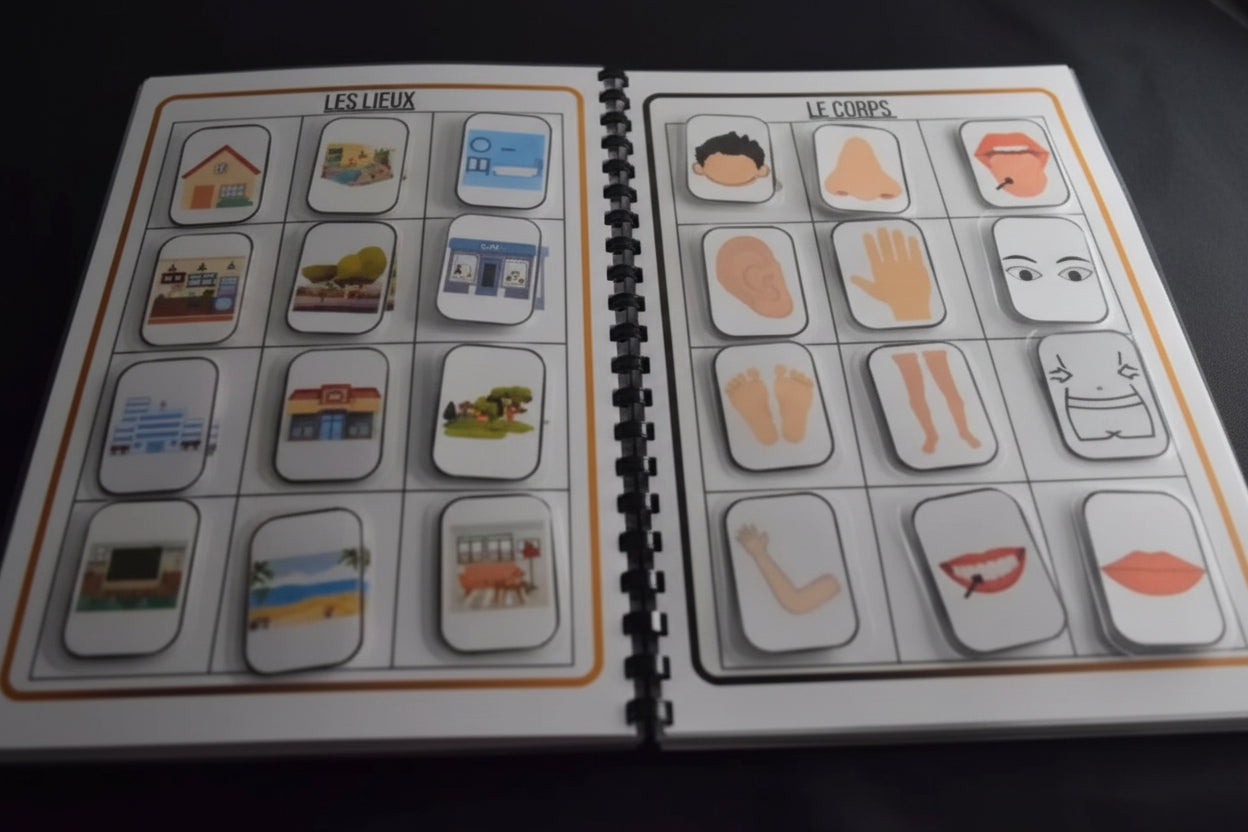 Livret d'activité En route vers la Petite Section fille ou garçon PDF